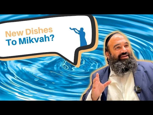 Why do we take dishes to the Mikveh?