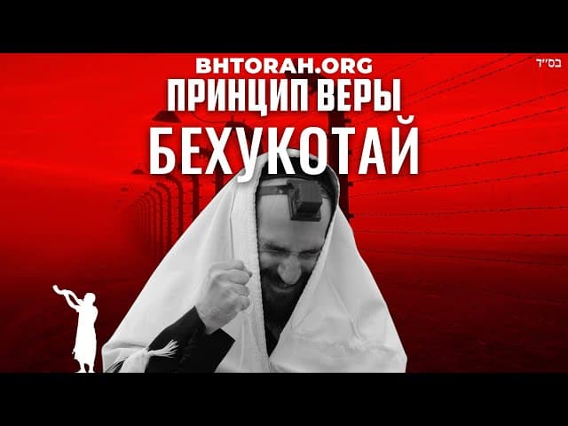 Парша Бехукотай: Принципы иудейской веры #Shorts