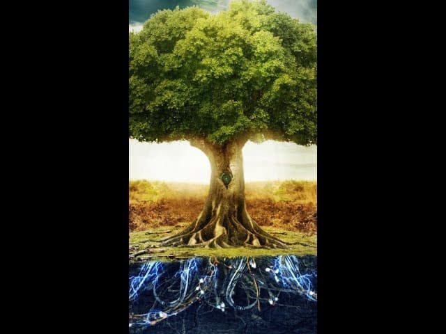 Daily Chidush: Learn The Purpose of Life From Adam