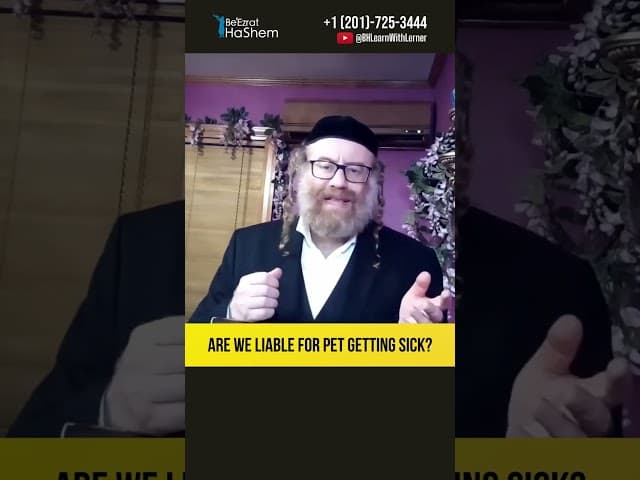 Are we liable for a pet getting sick? #Torah #shorts