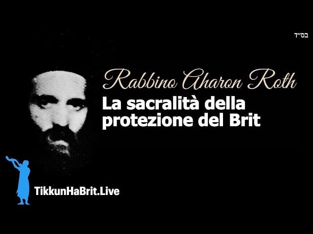 Rav Aharon Roth: Santità dal non sprecare seme