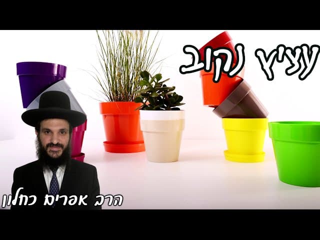 עציץ נקוב | קצרים