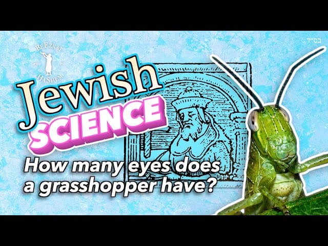 Jewish Science How Many Eyes Does A Grasshopper Have?