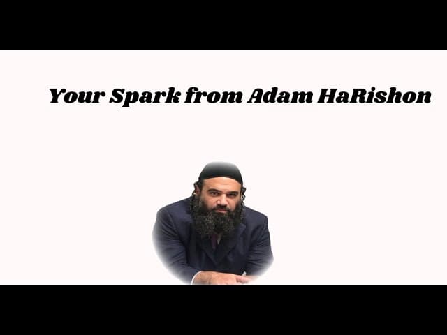 Your Spark from Adam HaRishon