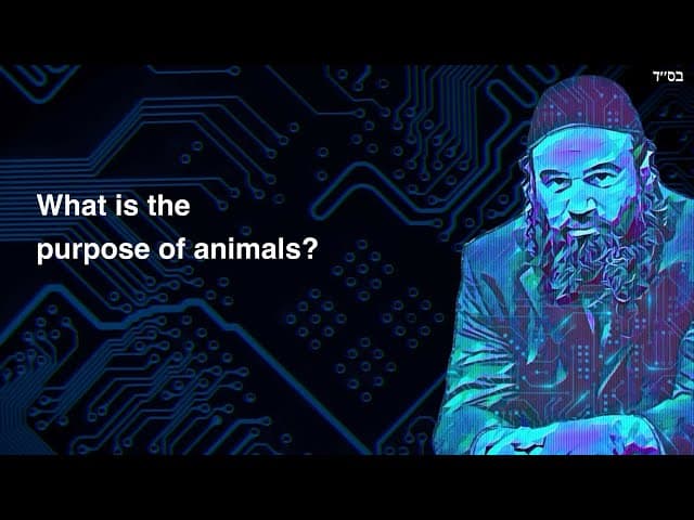 What is the purpose of animals?