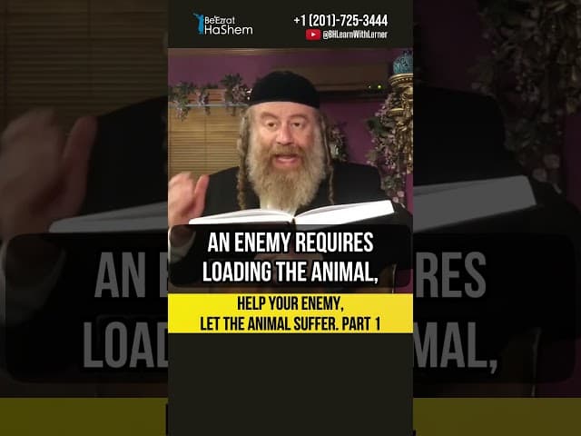 Help your enemy, let the animal suffer  Part 1