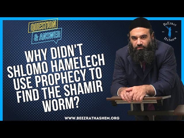 WHY DIDN'T SHLOMO HAMELECH USE PROPHECY TO FIND THE SHAMIR WORM?
