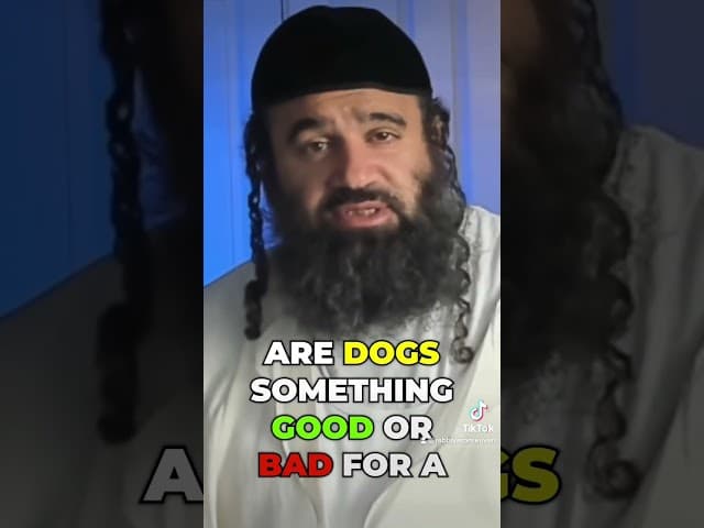 Watch- Stump The Rabbi (154)#RabbiYaronReuven #gnevatdaat #STINGY #HERESY, #giftideas #NDE #demons