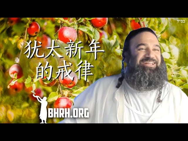 拉夏纳节的诫律 (汤·托夫)