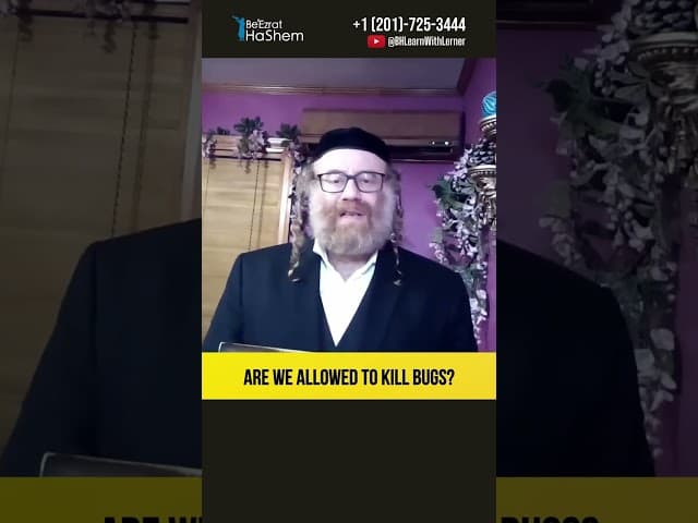 Are we allowed to kill bugs? The Laws of Torah Study #Torah #shorts