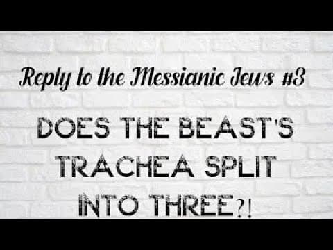 Reply To The Messianic Jews #3- Does The Beast's Trachea Split Into Three? W/English Subtitles