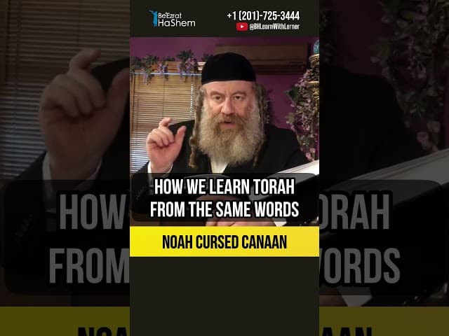 Noah cursed Canaan 💠 Learning Torah with Commentary #shorts #Torah