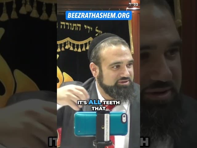 Everybody Needs To Do TeShuva