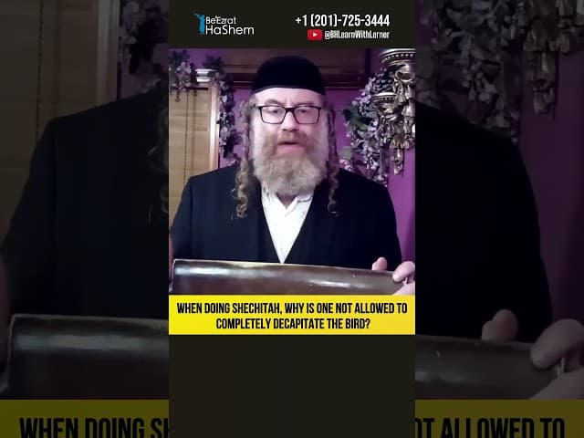 When Doing Shechitah, Why Is One Not Allowed to Completely Decapitate the Bird? #Torah #shorts