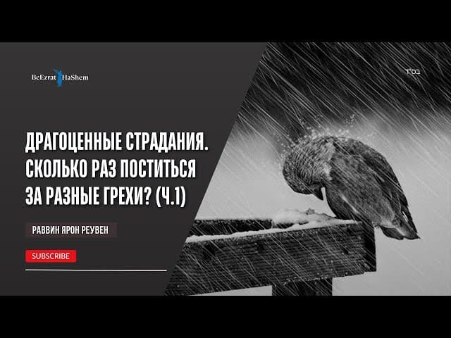 Драгоценные страдания | Часть 1 | Удаление пятен | Раввин Ярон  Реувен