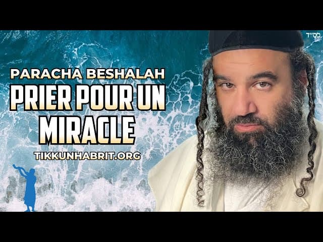 Quand la prière ne suffit pas : Paracha Beshalah