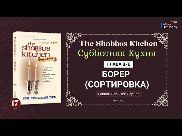 𝟭𝟳. Субботняя кухня | (6) Борер (сортировка) | Глава 8 | Рабби Лев Лэйб Лернер