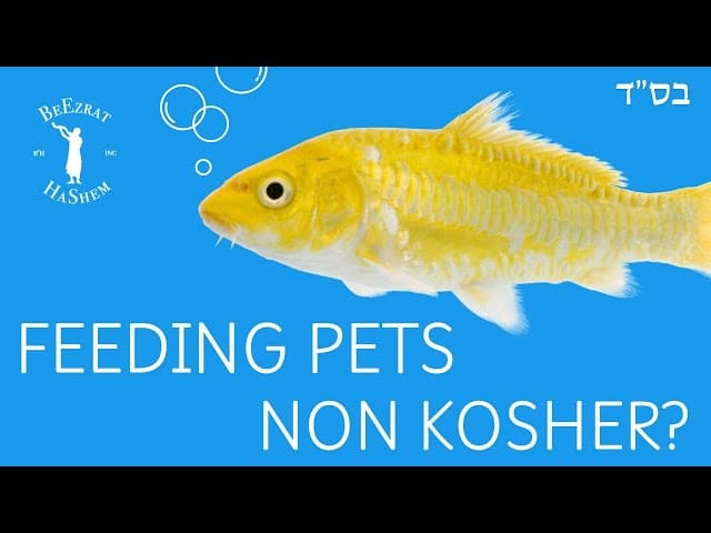Can We Benefit from Non Kosher Food by Feeding It to Our Pets?