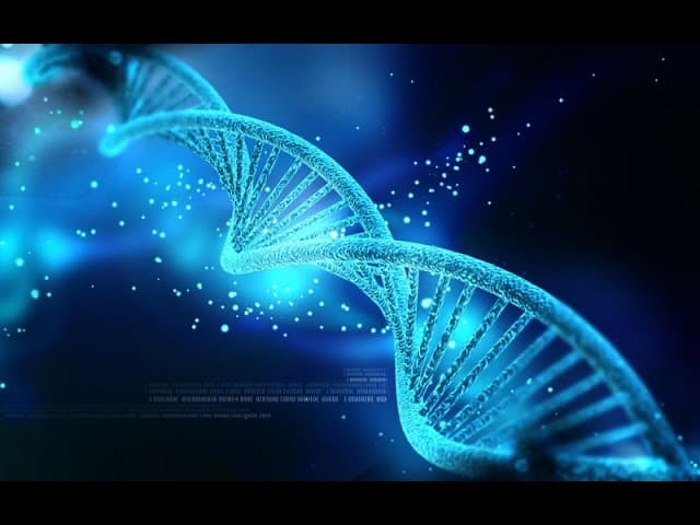 Shiur Torah 4 part 1 Proofs, Maaser, Shabbat and your DNA