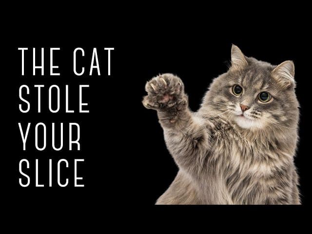 The CAT STOLE YOUR SLICE!!!