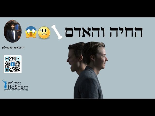 😱🥺🦴החיה והאדם