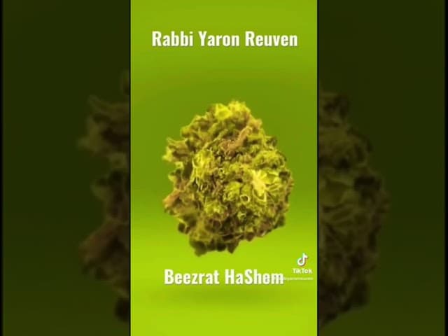 托拉何时允许你使用大麻？