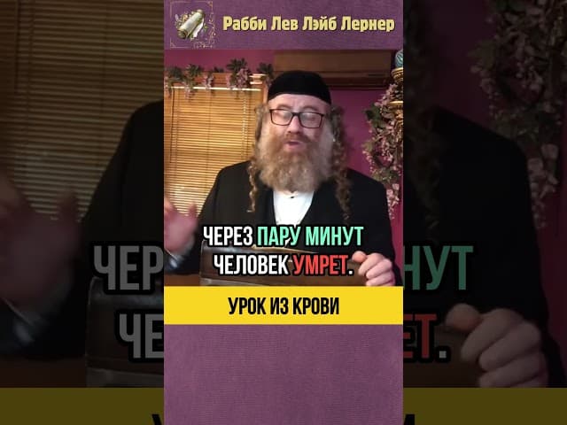 Урок из крови🩸Открытое чудо в человеке #shorts #тора