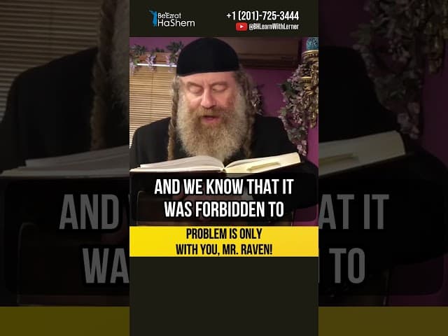 Problem is only with you, Mr. Raven 🐦‍⬛ Holy Jewish Intimacy #shorts #torah
