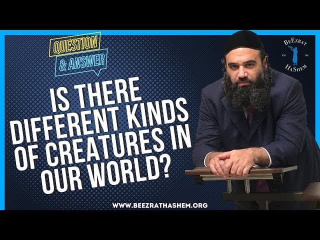   IS THERE DIFFERENT KINDS OF CREATURES IN OUR WORLD