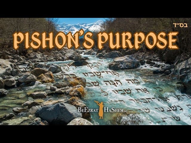 What is the Purpose of the Description of Creation in Bereshis?