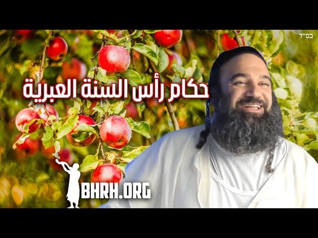 فقه رأس السنة (توم توف)