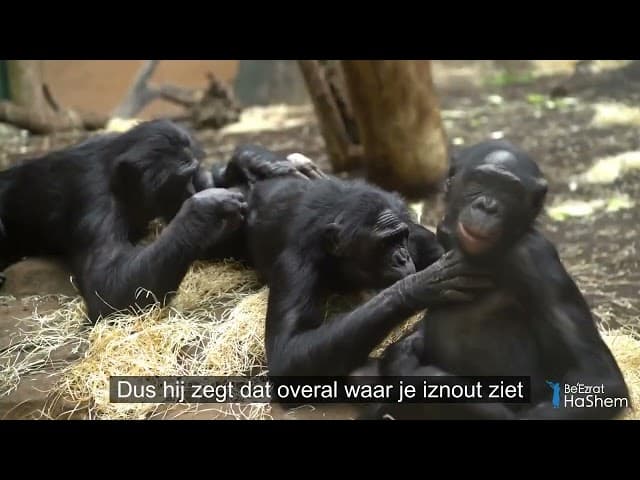 TORAH,WETENSCHAP & EEUWENOUDE WIJSHEDEN DEEL5