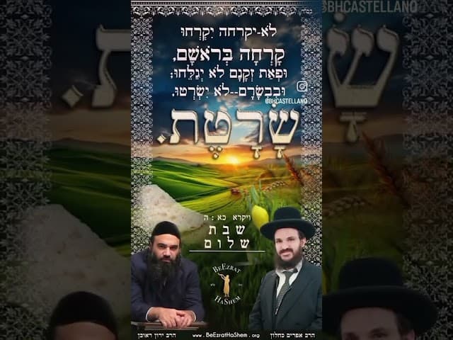 Shabbat Shalom les desean los Rabinos Yaron Reuven Shlita y Efraim Kachlon