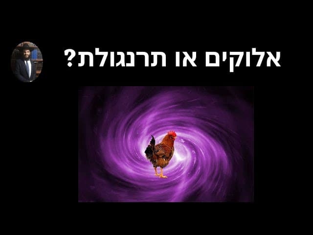 ?אלוקים או תרנגולת