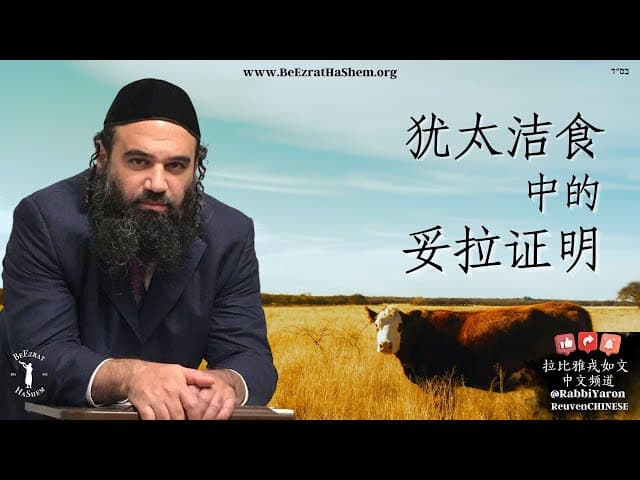 犹太洁食中的《妥拉》证明