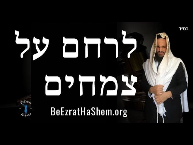 🫑🥒🥝🍒🍑לרחם על צמחים