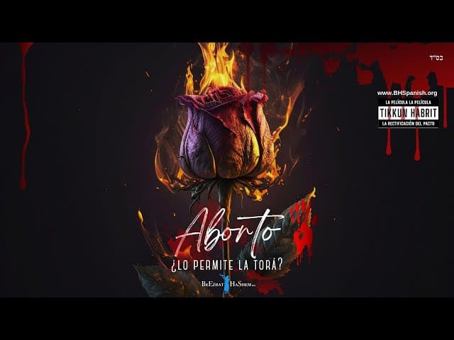 A B O R T O - ¿Está permitido?