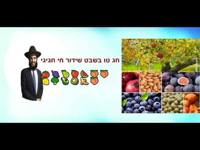חג טו בשבט שידור חי חגיגי