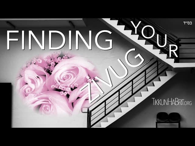 Finding Your Zivug