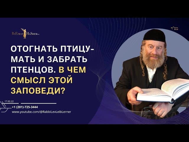 Отогнать птицу-мать и забрать птенцов. В чем смысл этой заповеди?