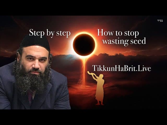 Step by Step HOW TO STOP WASTING SEED (PGAM HaBrit)
