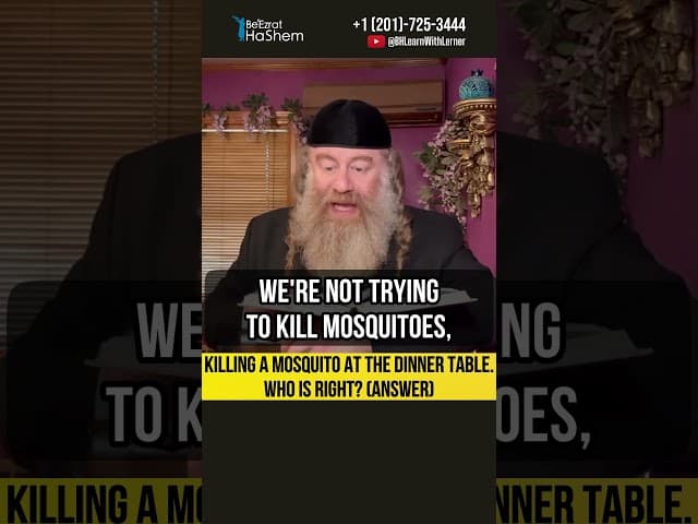 🦟 Killing a mosquito at the dinner table. Who is right? (Answer) #Torah #shorts