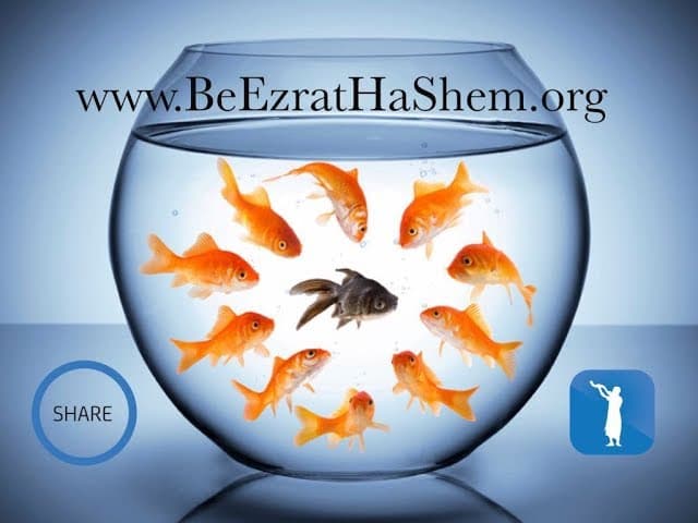Is There Racism In The Torah? (6 minutes)