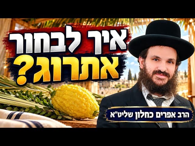 איך לבחור אתרוג? עם דוגמאות מעשיות