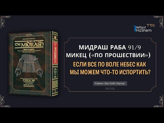 Если все по Воле Небес как мы можем что-то испортить? | Мидраш Раба, 91 | Берейшит (Микец)
