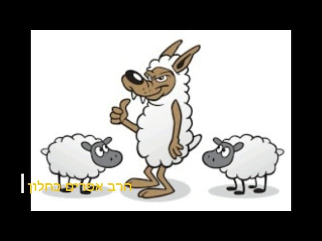 האם עדיף להיות ראש לשועלים הרב אפרים כחלון
