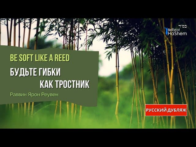 Будьте гибки как тростник | Раввин Ярон Реувен | Русский дубляж