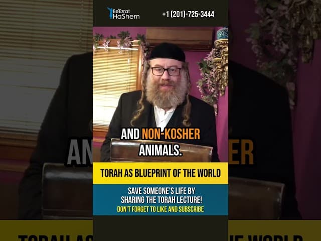 Torah - Blueprint of the World 🌍 Perfectly Clear Instructions #shorts