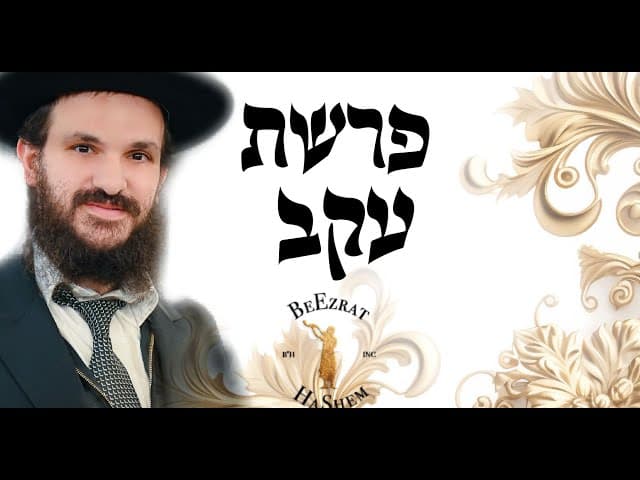 פרשת עקב - מה התועלת בחיים קשים?