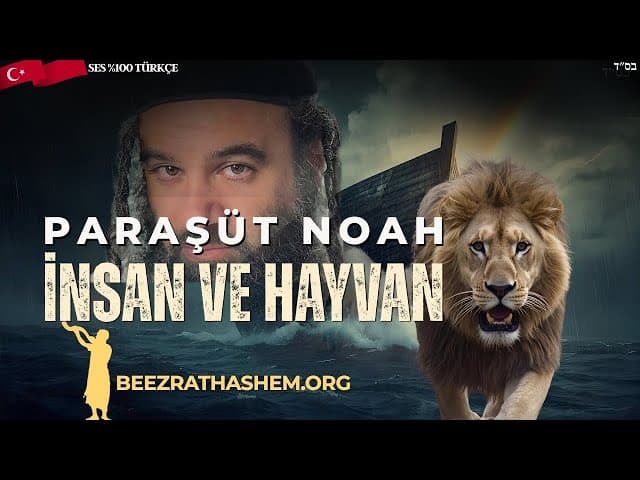 Parashat Noach: İnsanı Hayvandan Ne Ayırır?